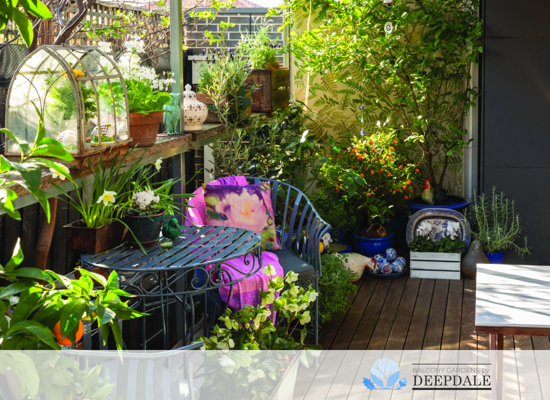 small space garden designs melbourne - balcony gardens by deepdale