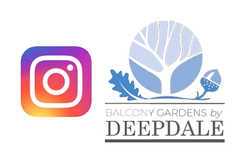 Follow Balcony Gardens by DEEPDALE on Instagram @bgbdeepdale